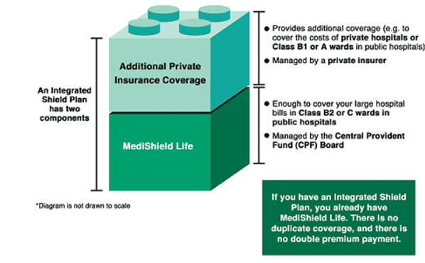 MediShield Life and IPs 1.png